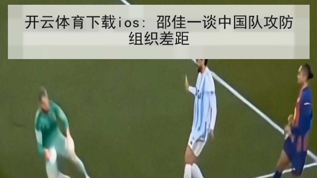 开云体育下载ios: 邵佳一谈中国队攻防组织差距